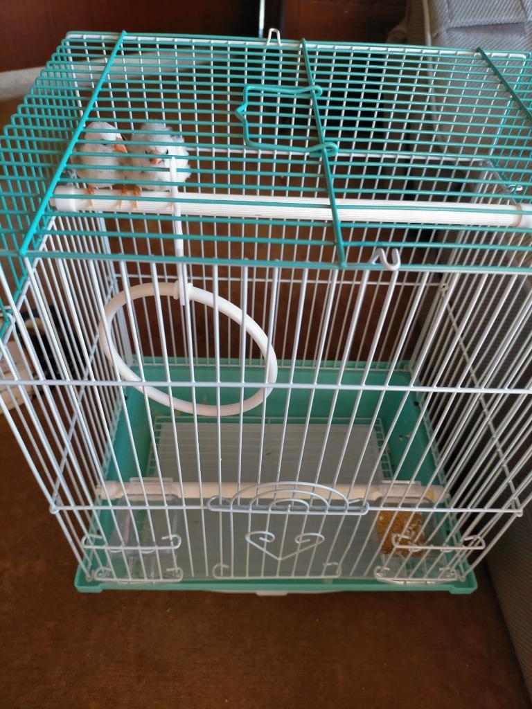 1件目のレビュー画像 | 3