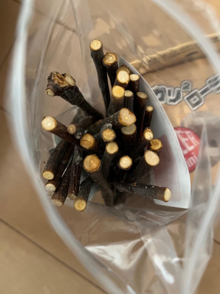 Leaf Corp かじり木 国産 りんごの木 細枝 70g 小動物
