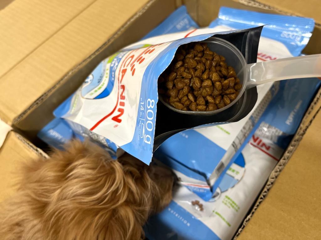 2件目のレビュー画像 | 1