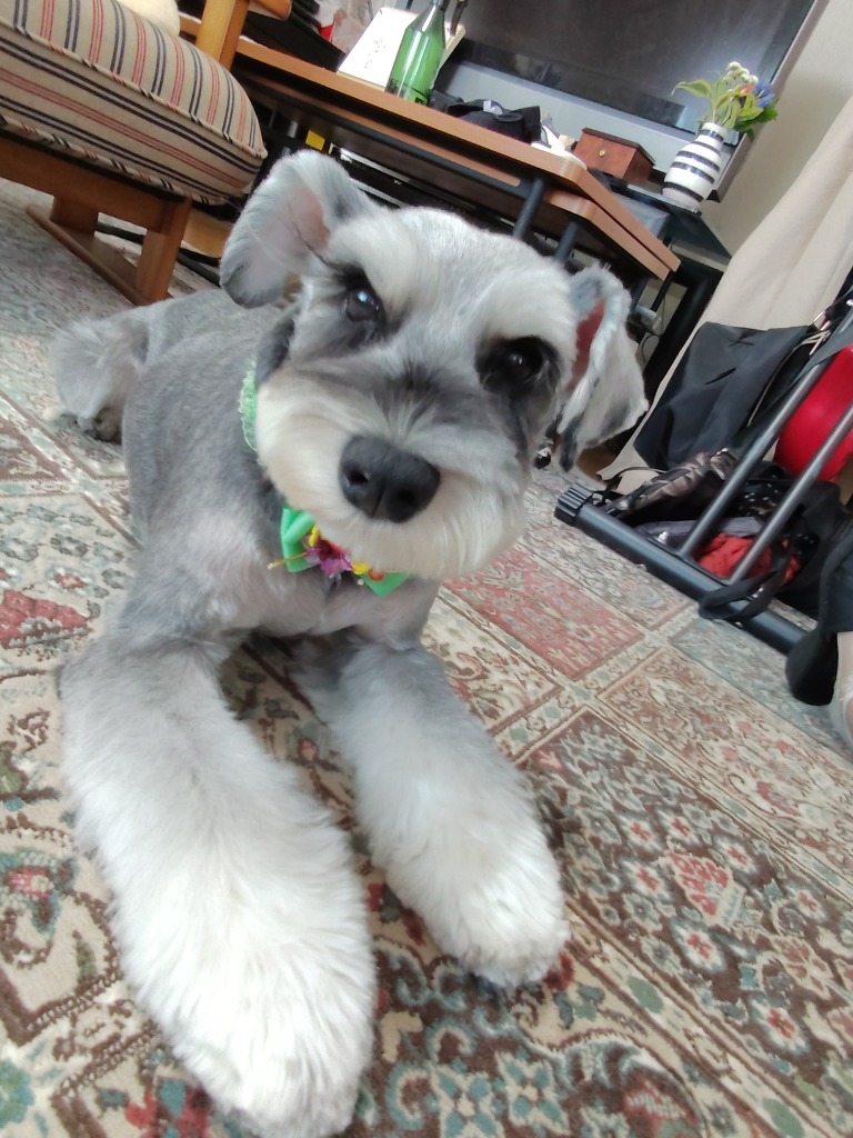 全体のレビュー画像 | 0-0