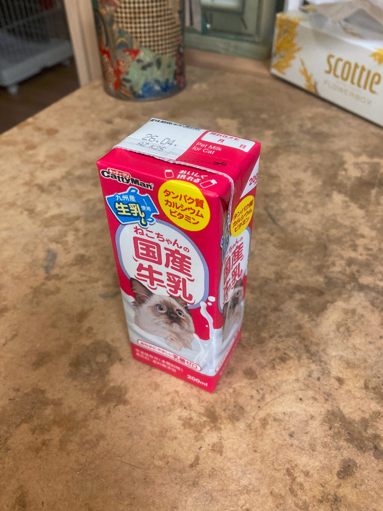 キャティーマン キャティーマン ねこちゃんの国産牛乳
