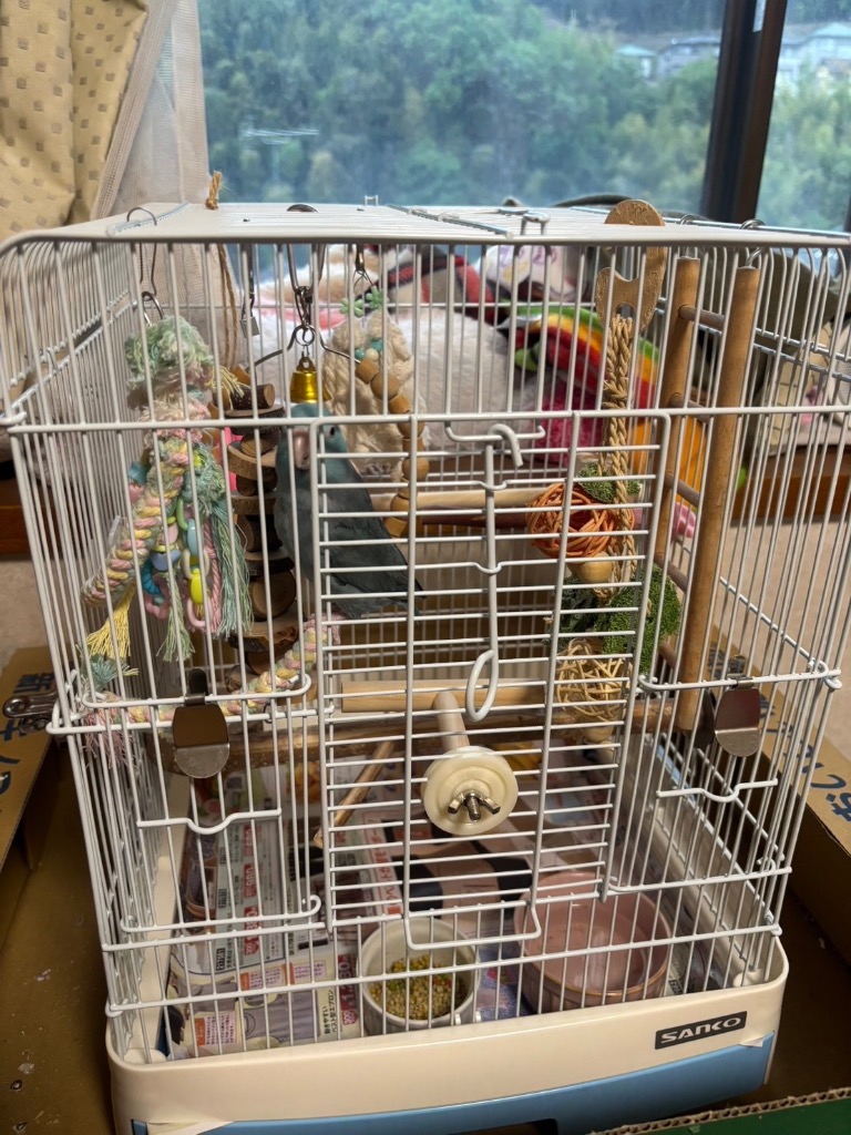 イージーホーム 鳥籠 鳥 ケージ 三晃商会 イージーホーム バード
