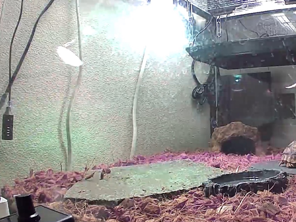 1件目のレビュー画像 | 0