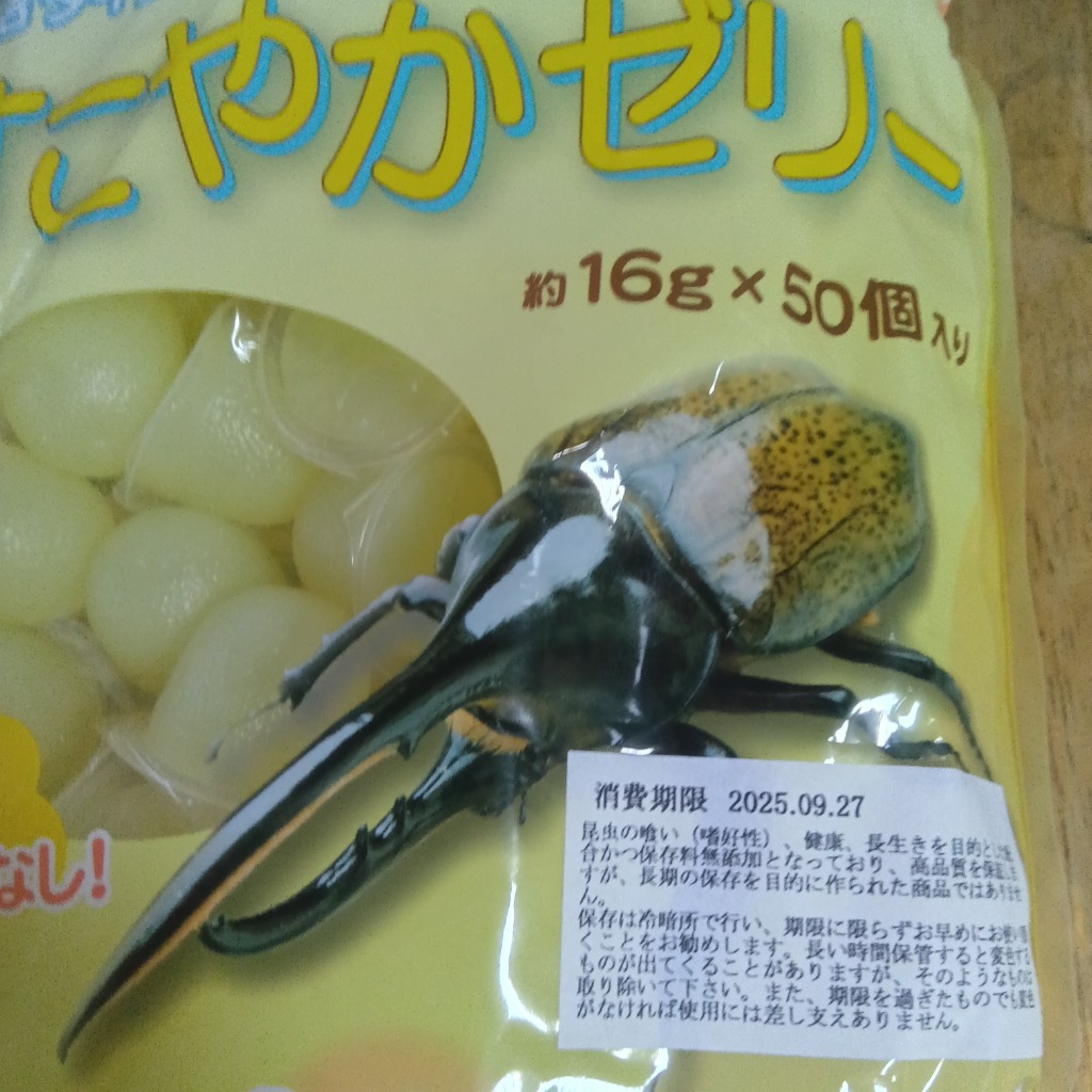 国産プロゼリー1500個KBファーム・カブトムシ　クワガタ 【木ぼく】 国産プロゼリー1500個KBファームカブトムシ クワガタinsect jelly