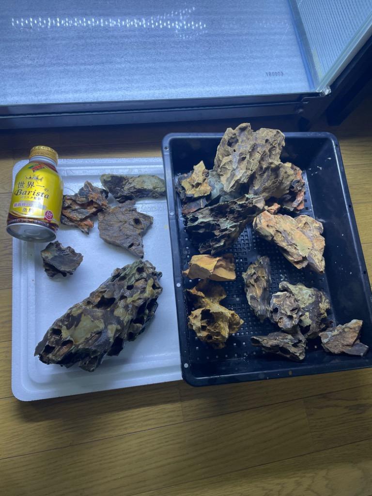 レビュー画像