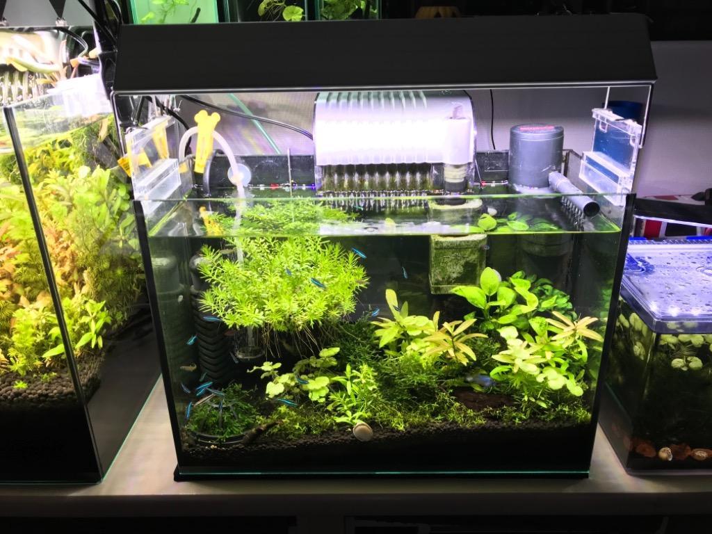 アクロ ＴＲＩＡＮＧＬＥ ＬＥＤ ＧＲＯＷ ４５０ ２０００ｌｍ ４５ｃｍ水槽照明 水草育成 ライト 熱帯魚 アクアリウム 沖縄別途送料  :223008:チャーム charm ヤフー店 - 通販 - Yahoo!ショッピング