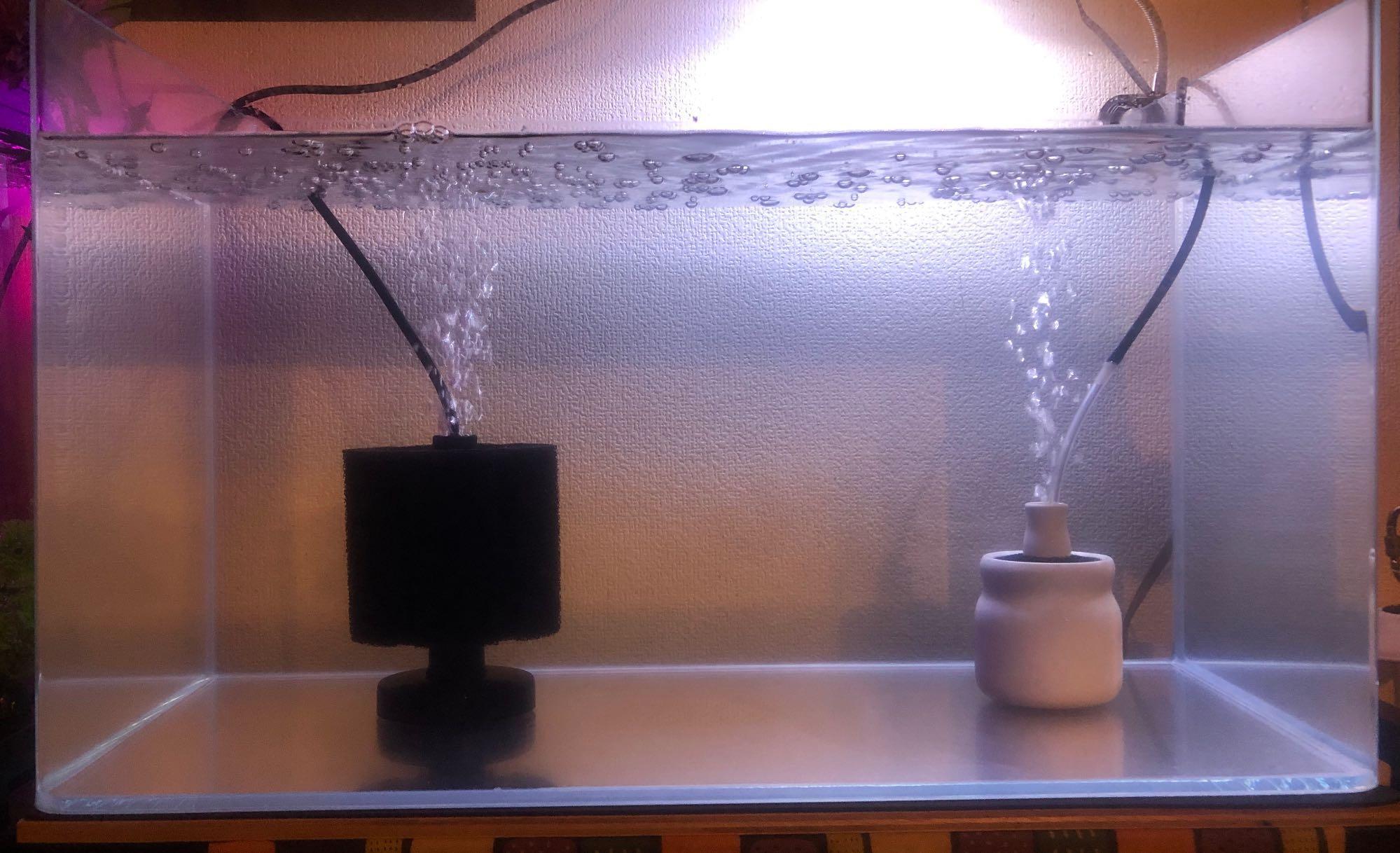 【送料込】ガラス水槽 アクロ60 スーパークリア 前面曲げ 60×30×36cm ガラス水槽 アクロ60 スーパークリア 前面曲げ 60×30×36cm 約60L