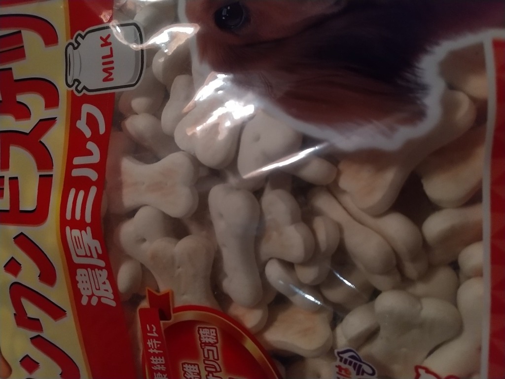 5件目のレビュー画像 | 0