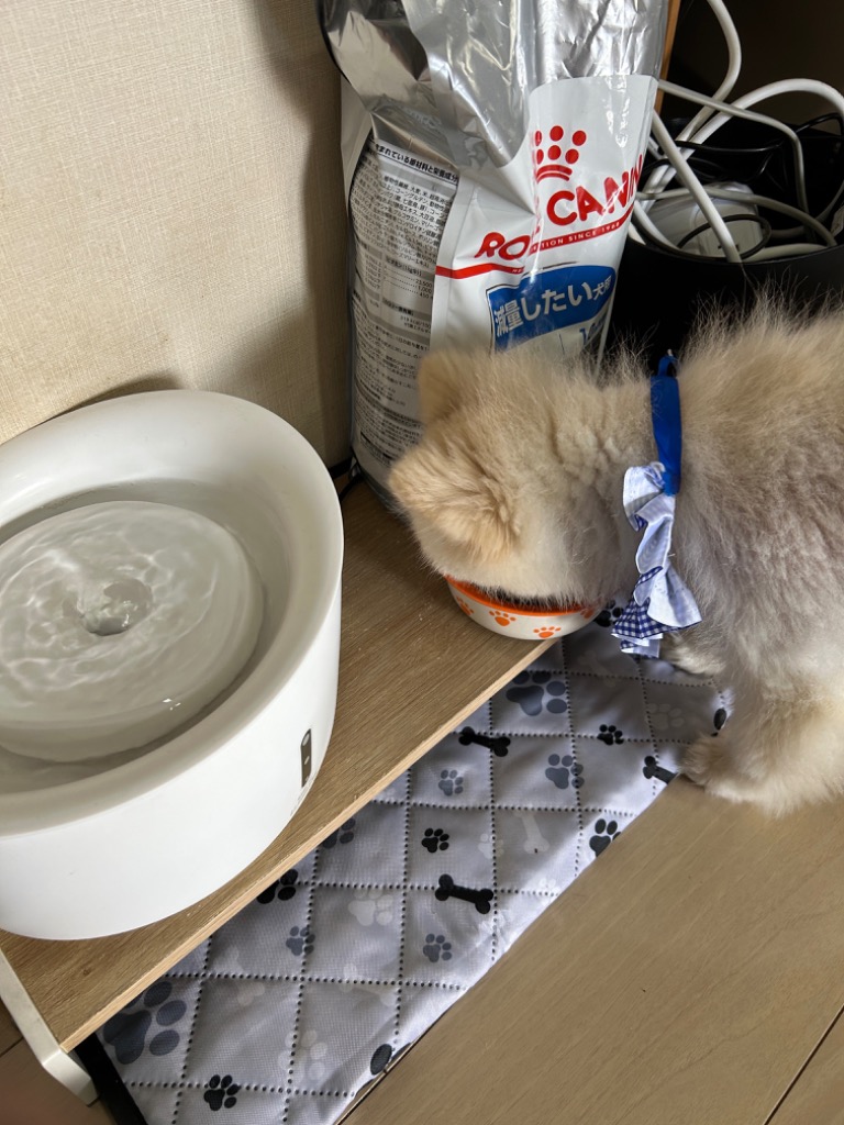 1件目のレビュー画像 | 0