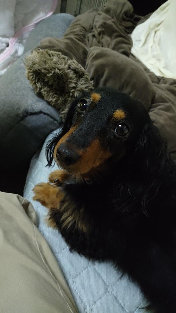 全体のレビュー画像 | 4-0