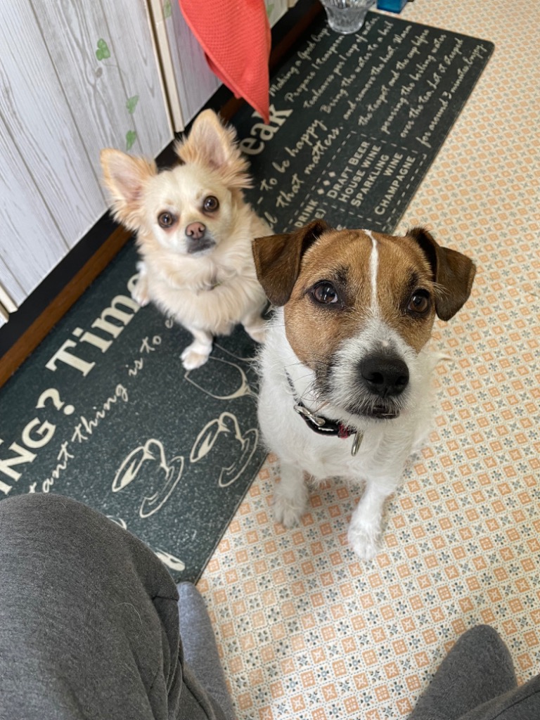 全体のレビュー画像 | 1-0