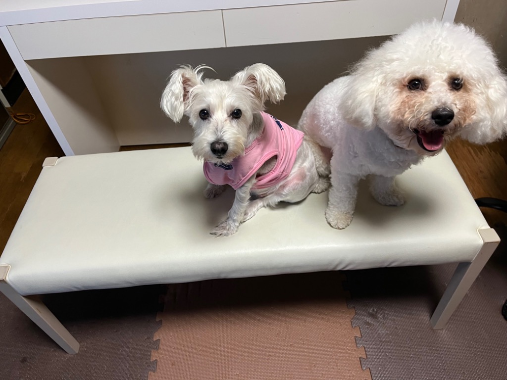 全体のレビュー画像 | 2-0