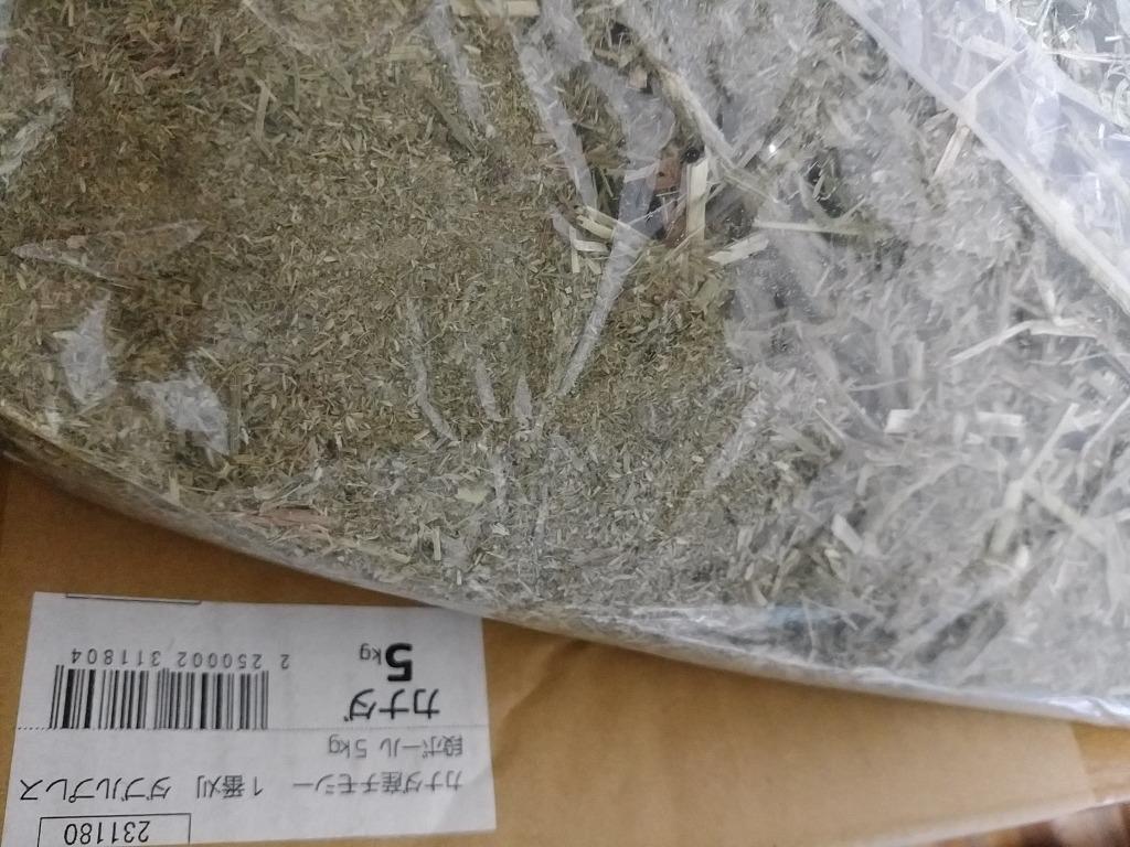 未選別 カナダ産チモシー １番刈 ダブルプレス 段ボール箱 ５ｋｇ 牧草 うさぎ 小動物 お一人様１点限り :231180:チャーム charm  ヤフー店 - 通販 - Yahoo!ショッピング