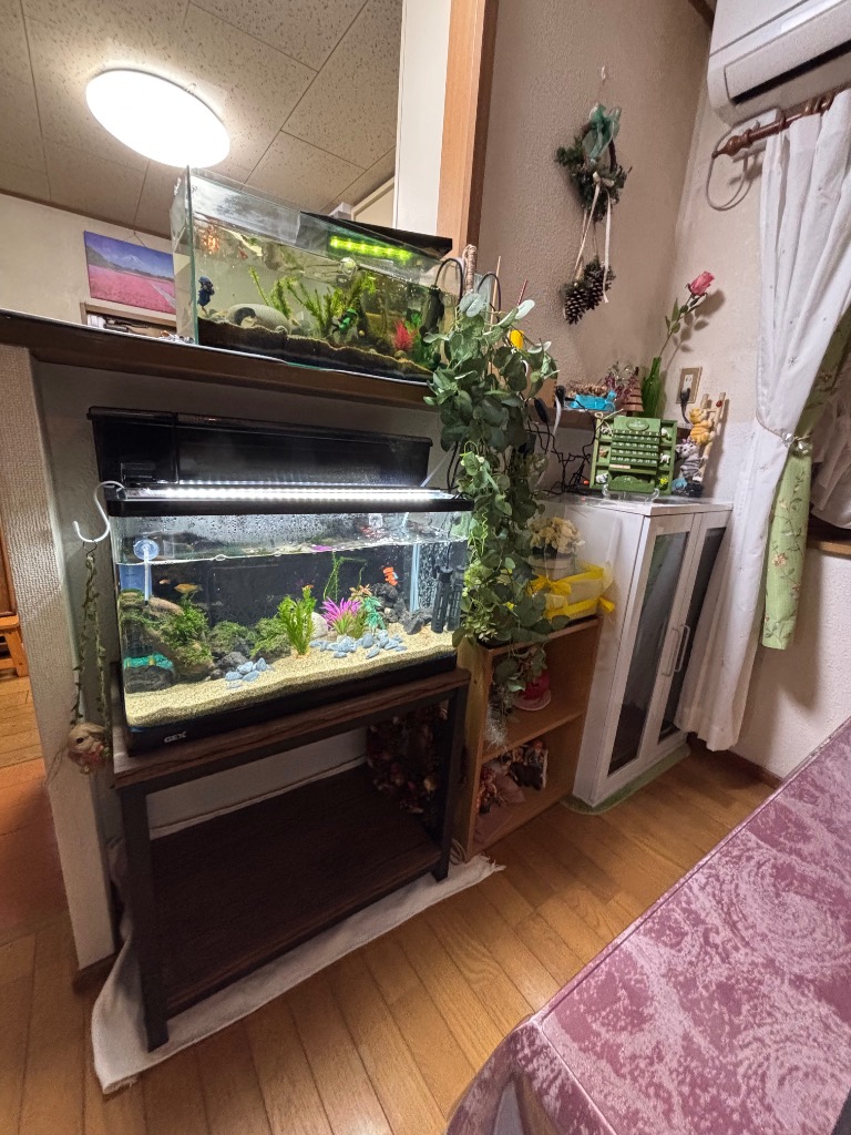 ニッソー 水槽台 ニッソー ウッドデコスタンド 630 60cm