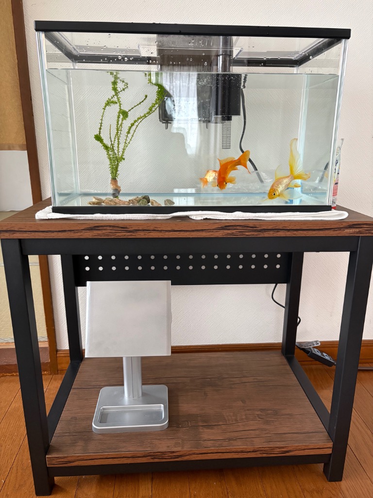 ニッソー 水槽台 ニッソー ウッドデコスタンド 630 60cm