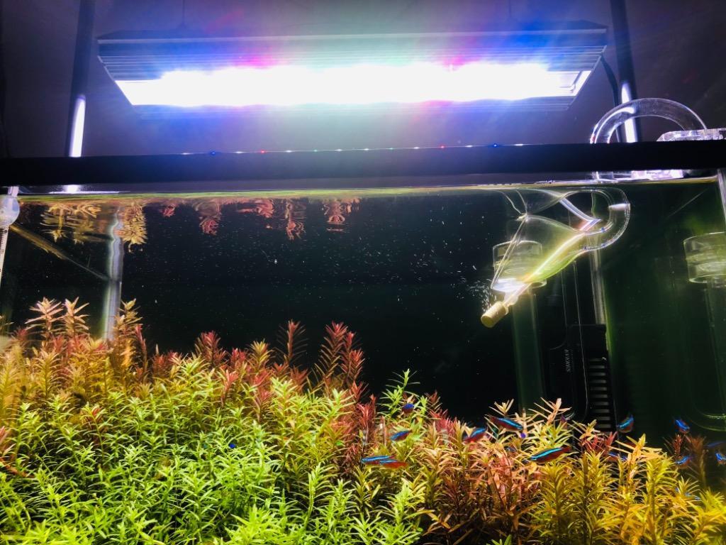 アクロ　ＴＲＩＡＮＧＬＥ　ＬＥＤ　ＧＲＯＷ　Ｐｒｏ　４５０　４４５０ｌｍ　水草育成　水槽ライト　アクアリウム　照明