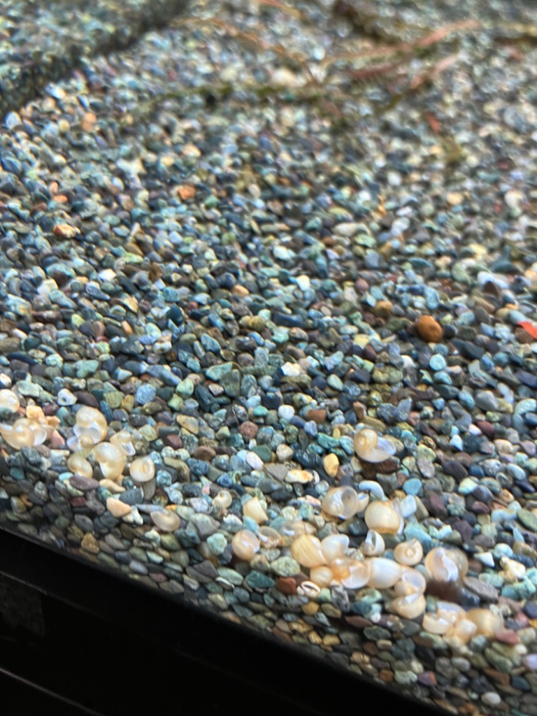 全体のレビュー画像 | 2-2