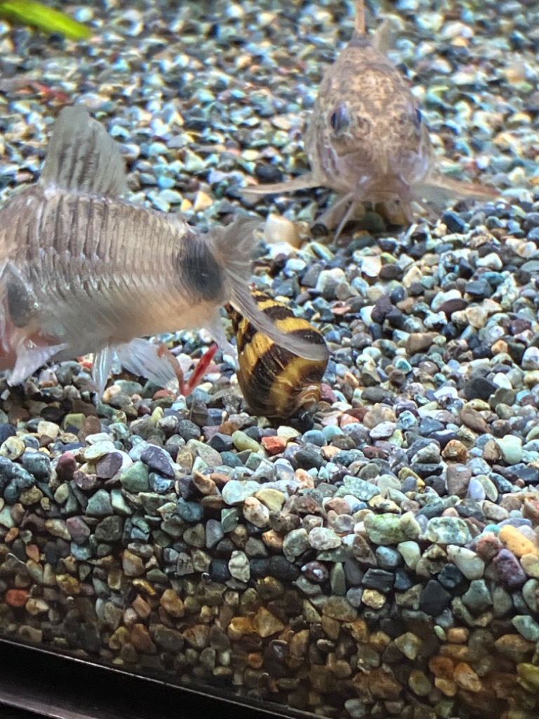 全体のレビュー画像 | 2-0