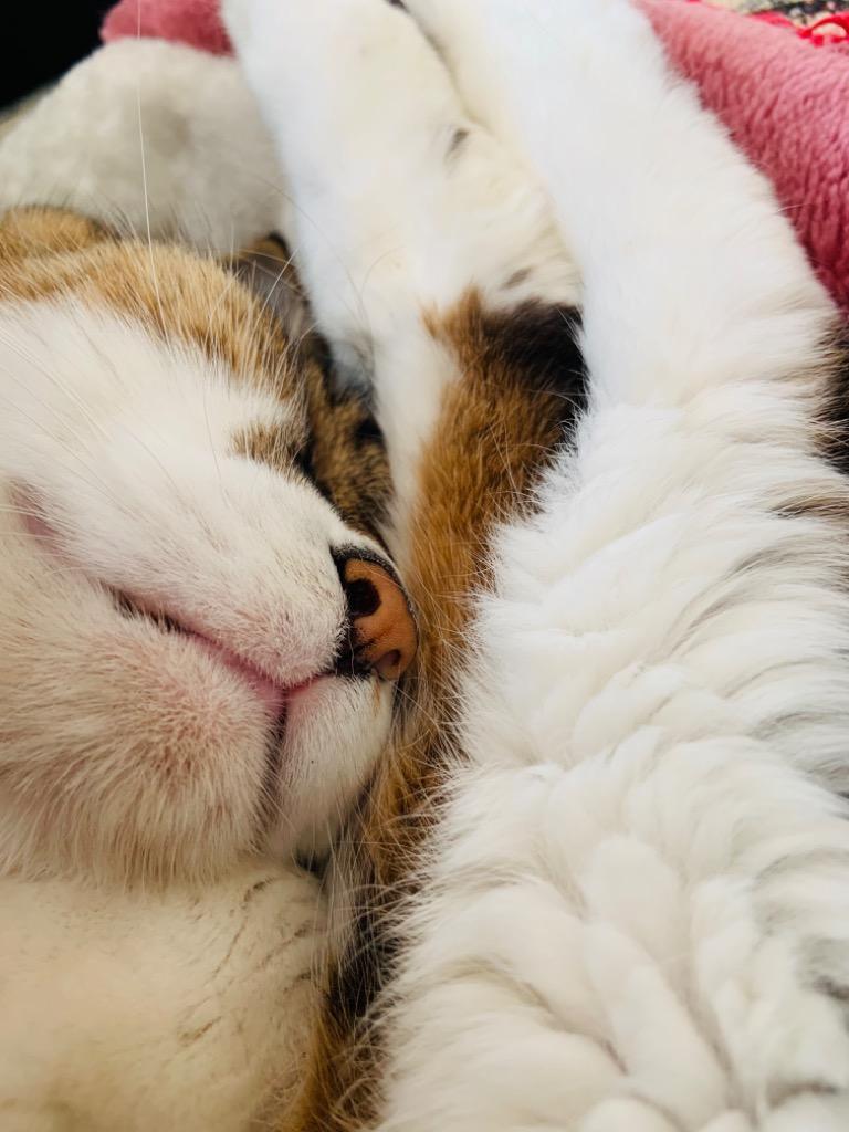 1件目のレビュー画像 | 0