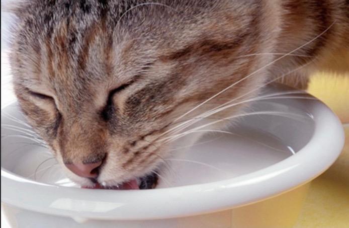 1件目のレビュー画像 | 1