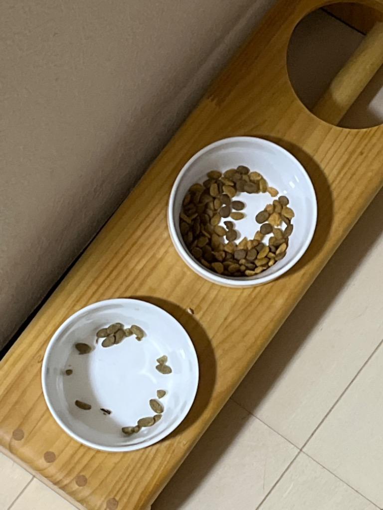 全体のレビュー画像 | 4-0