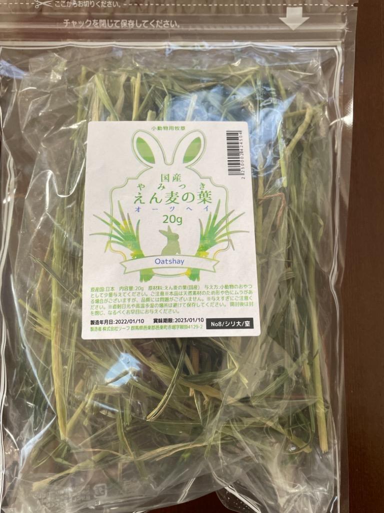 令和４年新刈 国産 やみつきオーツヘイ（えん麦） ２０ｇ お試しサイズ 牧草 うさぎ モルモット デグー 小動物 おやつ ＵＳＡＹＡＭＡ  :242450:チャーム charm ヤフー店 - 通販 - Yahoo!ショッピング