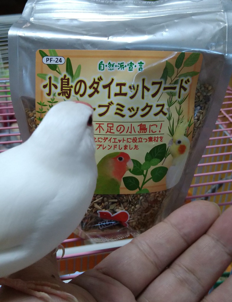 レビュー画像