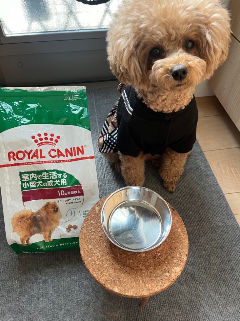 ロイヤルカナン（ROYAL CANIN） ミニ インドア アダルト 成犬用 2kg
