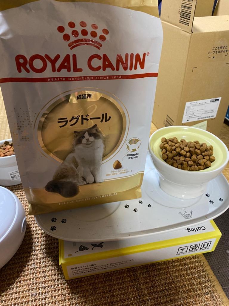 ロイヤルカナン（ROYAL CANIN） 猫 ラグドール 成猫用 生後12ヵ月齢