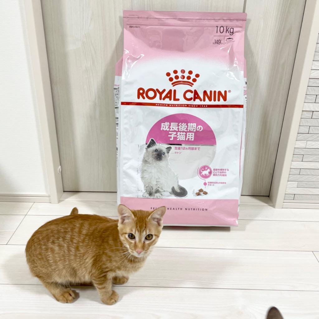 ロイヤルカナン 成長後期の子猫用 ドライフード 10㎏
