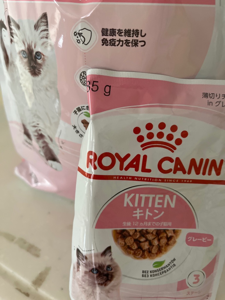 ロイヤルカナン 【送料無料】ロイヤルカナン 子猫 成長後期の