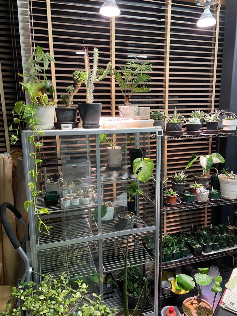 BARREL 植物育成用ライト SUN−18W 白色光 : チャーム