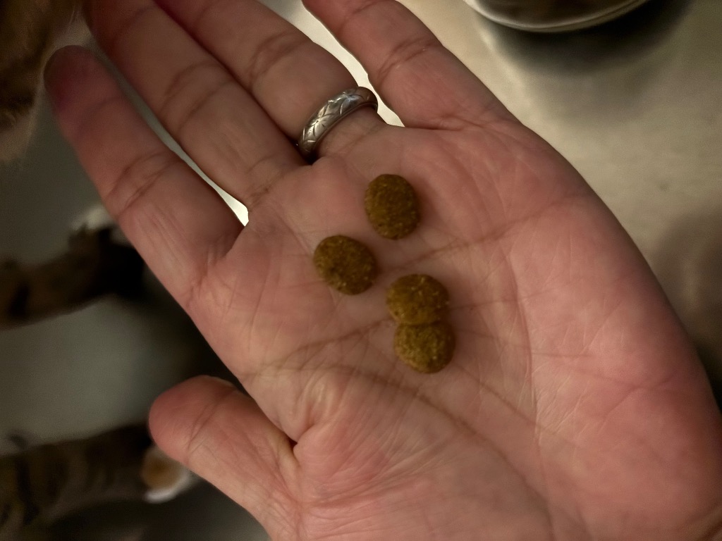 全体のレビュー画像 | 0-0