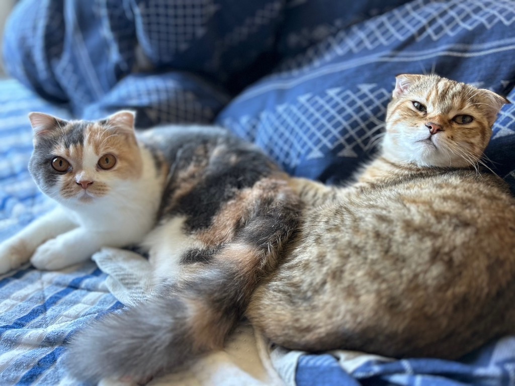 全体のレビュー画像 | 1-0