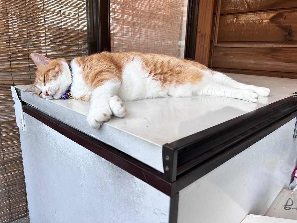 全体のレビュー画像 | 0-0