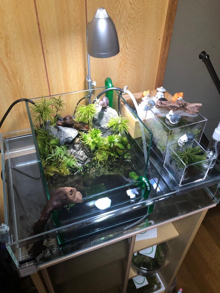 ＧＥＮＴＯＳ 植物のための そだつライト ＬＥＤ 植物育成用ライト