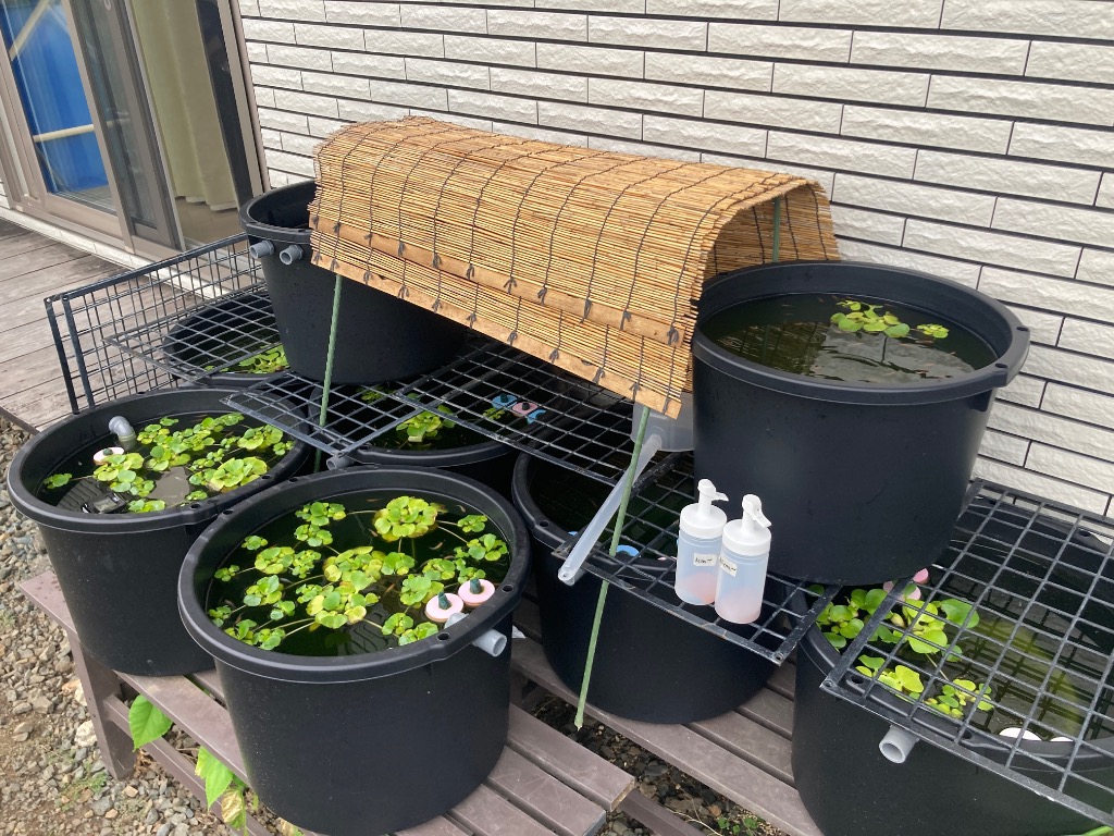 万能容器30L メダカやビオトープ・植木鉢にも！ : チャーム charm