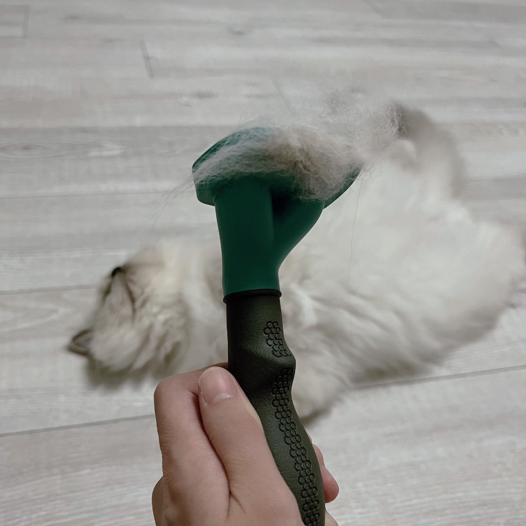 レビュー画像
