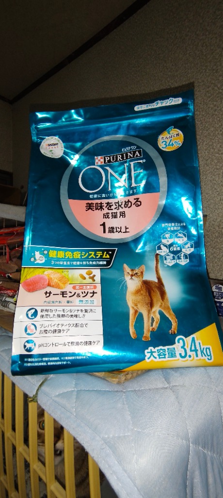 ピュリナワン サーモン＆ツナ3.4kg×4 室内飼い猫用 インドアキャット 1歳以上 サーモン＆ツナ