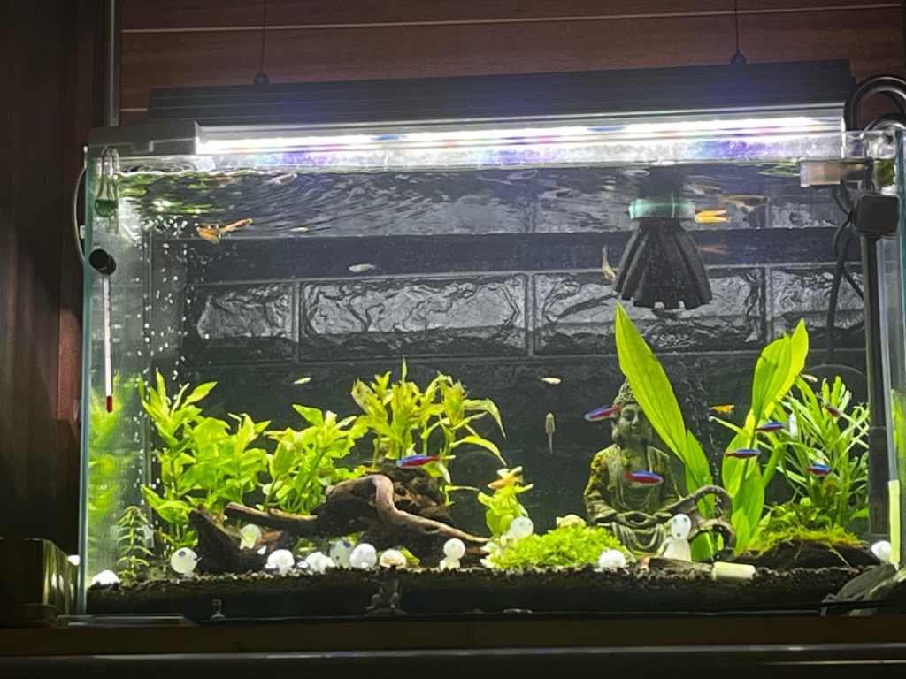 アクロ ＴＲＩＡＮＧＬＥ ＬＥＤ ＧＲＯＷ ６００ ３０００ｌｍ ６０ｃｍ水槽 照明 水草育成 熱帯魚 アクアリウム ライト : 274001 :  チャーム charm ヤフー店 - 通販 - Yahoo!ショッピング