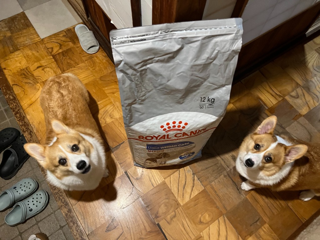 全体のレビュー画像 | 0-0