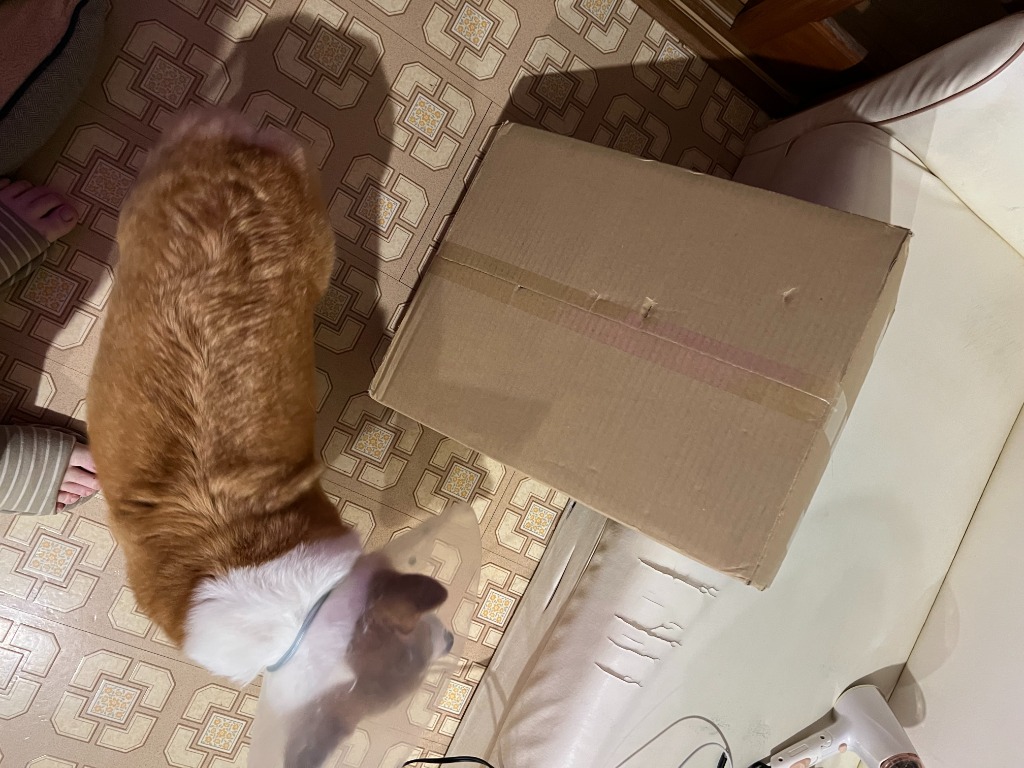 全体のレビュー画像 | 5-0