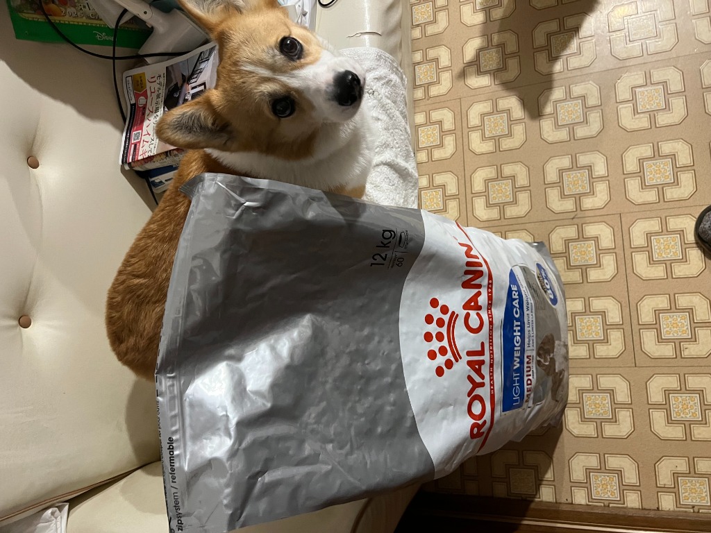 全体のレビュー画像 | 2-1