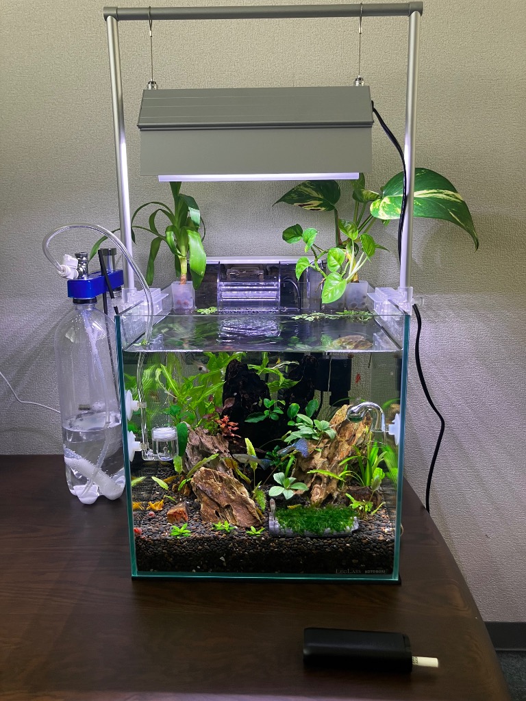 アクロ　LED VIVID600 専用ライトスタンドセット アクロ LED VIVID600 専用ライトスタンドセット アクロ TRIANGLE LED