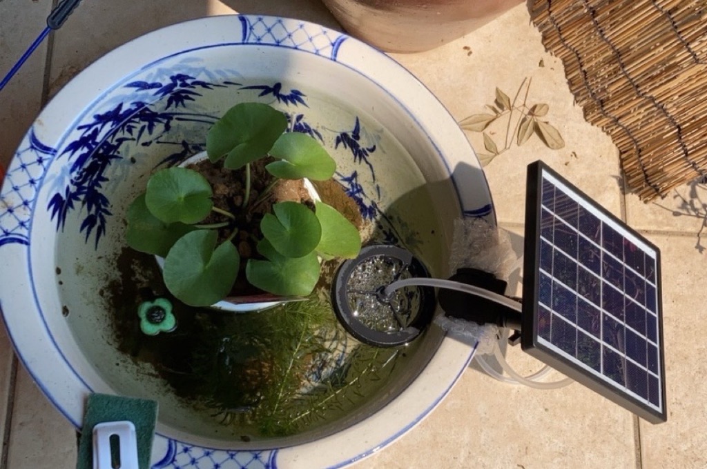 Tetra 水中ポンプ テトラ メダカのソーラーブリードポンプ 電源 Tetra 水中ポンプ テトラ メダカのソーラーブリードポンプ 電源