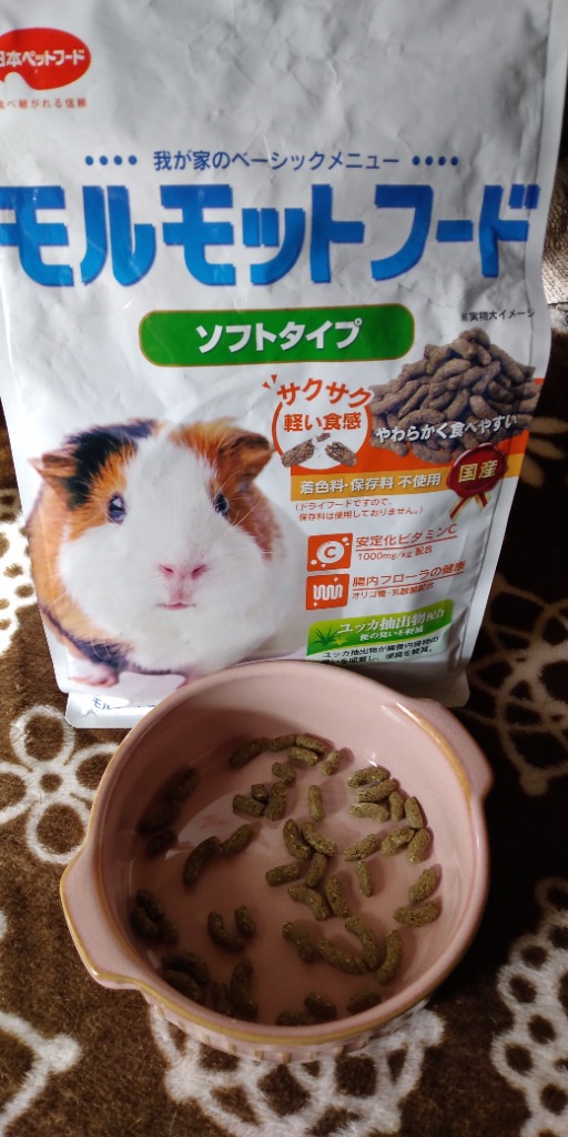 日本ペットフード　モルモットフード　ソフトタイプ　４００ｇ　餌　主食