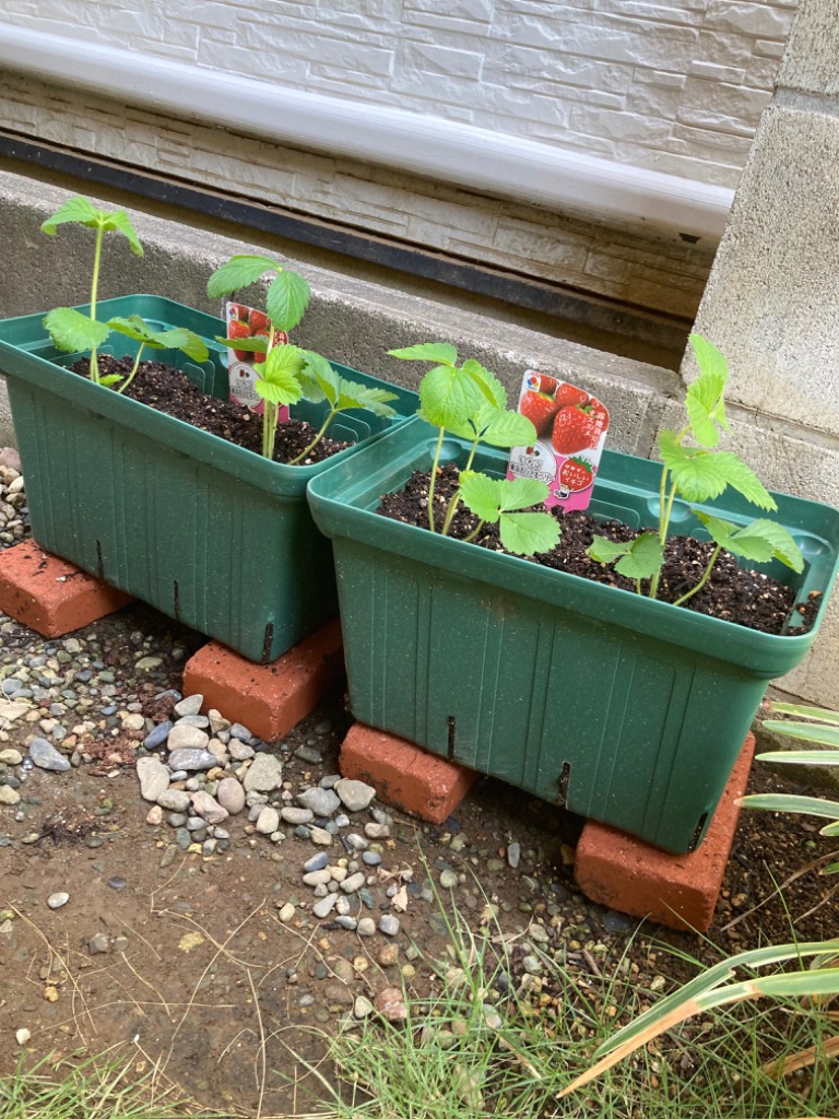 カネヤ産業スリット鉢スクエアプランターCMS-325 ライトアーミー8点セット カネヤ産業スリット鉢スクエアプランターCMS-325 ライトアーミー