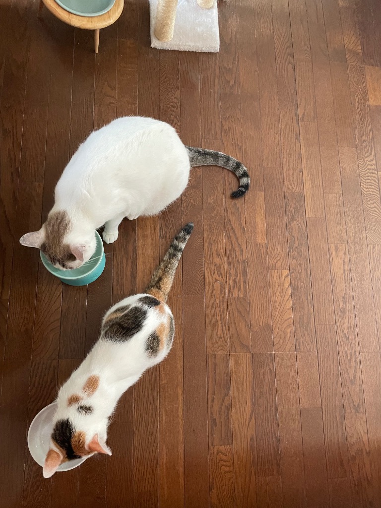 全体のレビュー画像 | 3-0