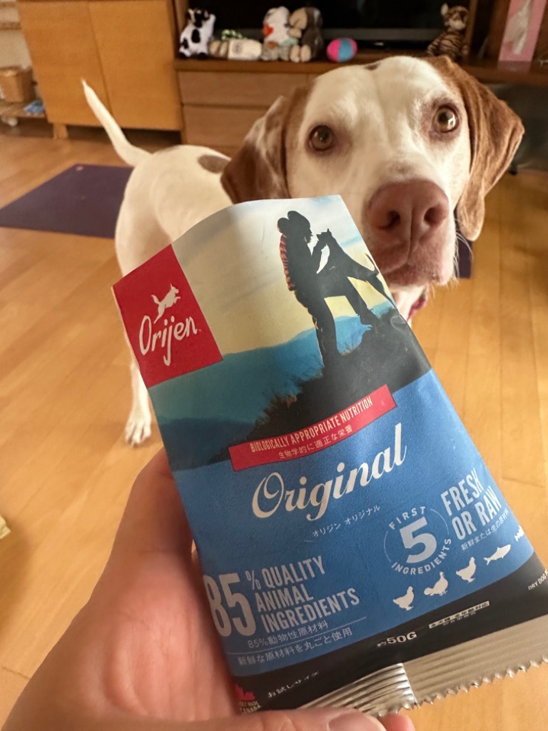 ドッグフード オリジン オリジナル 50g×90袋 約4.5kg分 オリジン（Orijen）ドッグフード 正規代理店| ペットフードの