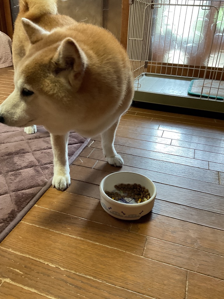 1件目のレビュー画像 | 3
